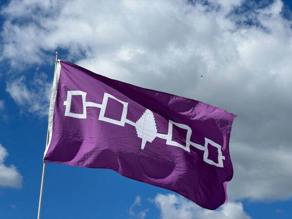 Purple flag with white symbols and a central tree design waving against a blue sky with clouds.